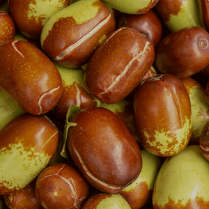 JOJOBA
